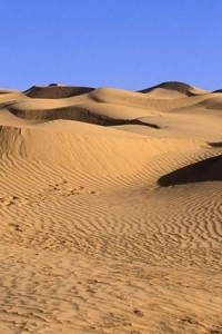 图片 热带沙漠气候景观